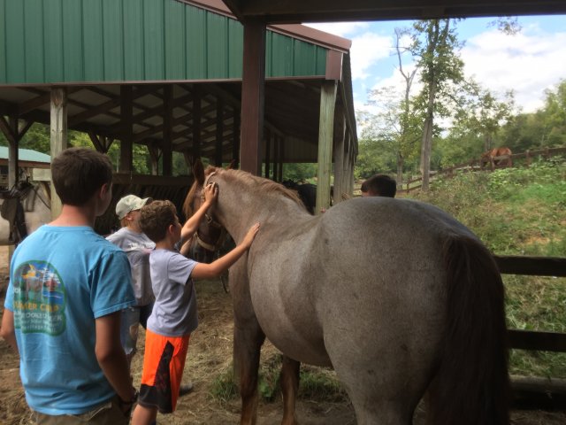 2017 Horseback Riding